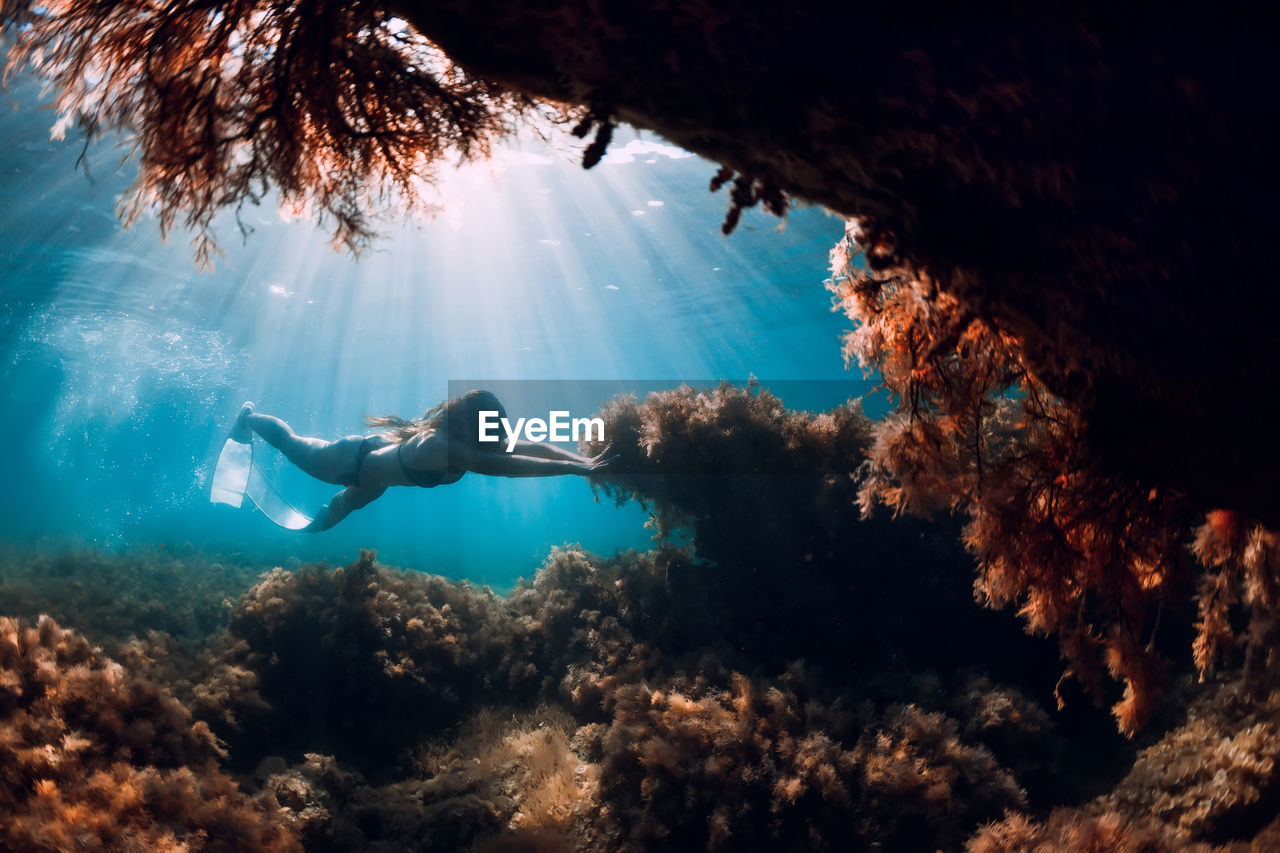 side view of man swimming in sea