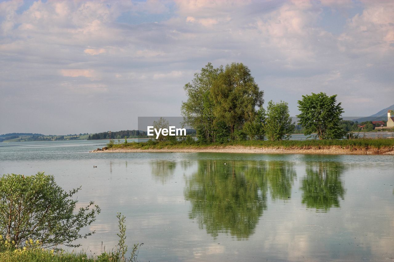 PLANTS BY LAKE AGAINST SKY