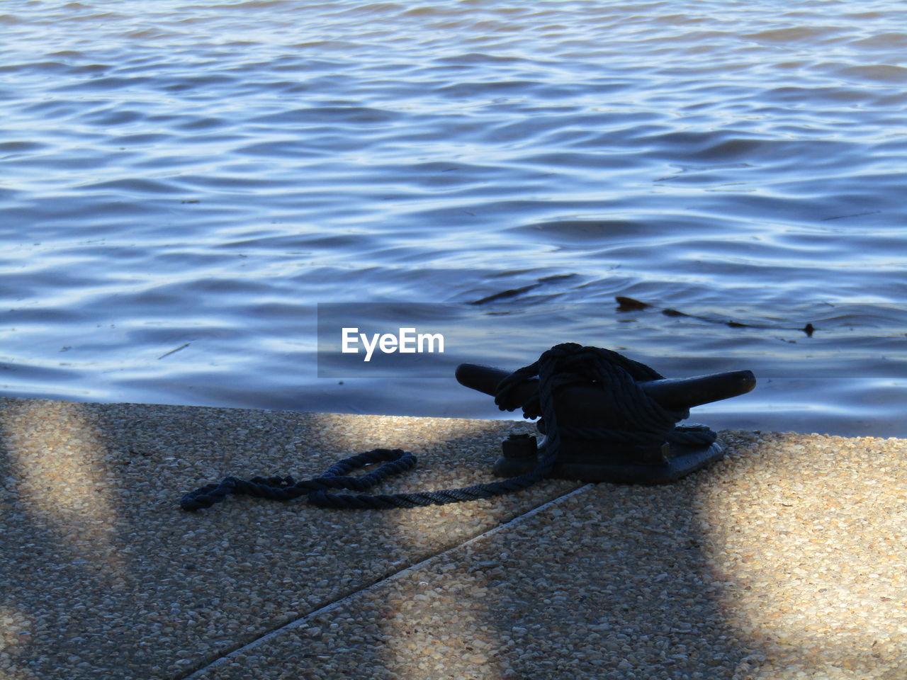 HIGH ANGLE VIEW OF CAT ON SHORE