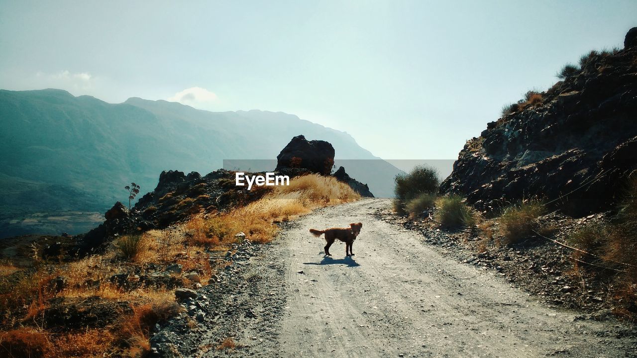 REAR VIEW OF PEOPLE WALKING ON ROAD AGAINST MOUNTAIN