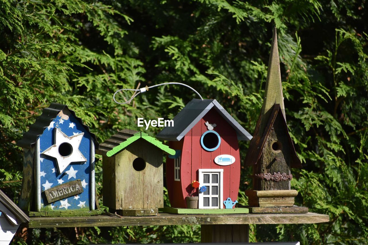 Handmade bird houses mounted on the trees in yard