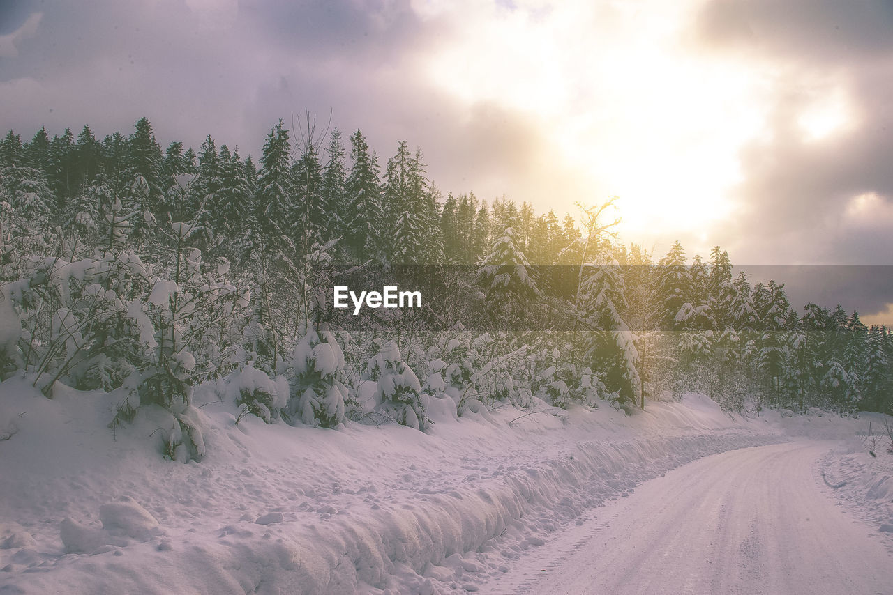 Trees on snow covered field against sky during sunset