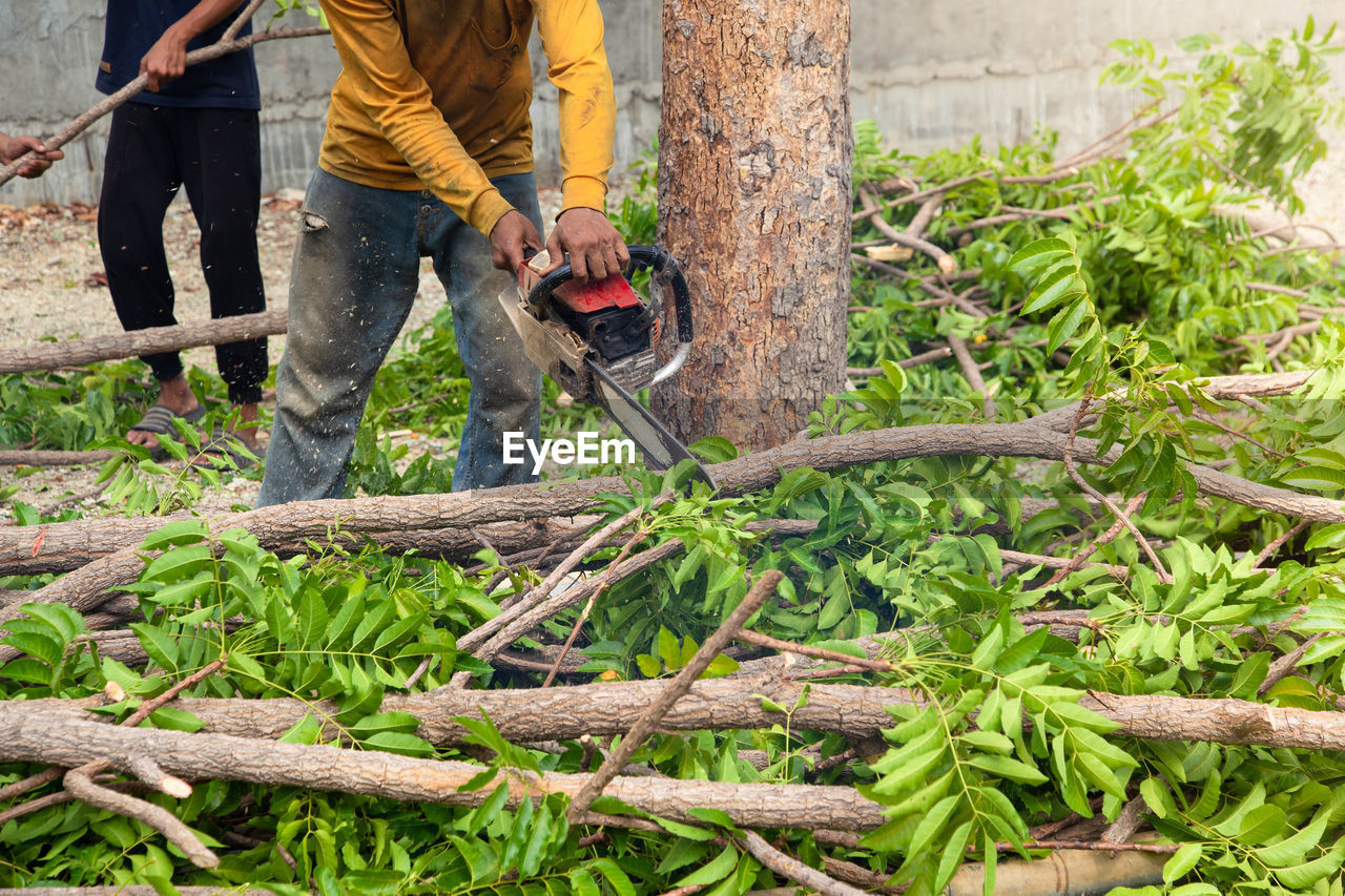 MAN WORKING ON PLANTS