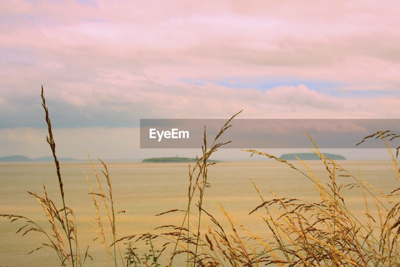 Scenic view of landscape against cloudy sky