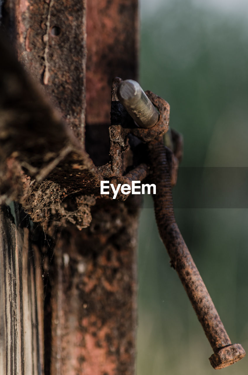 Close-up of insect on rusty metal