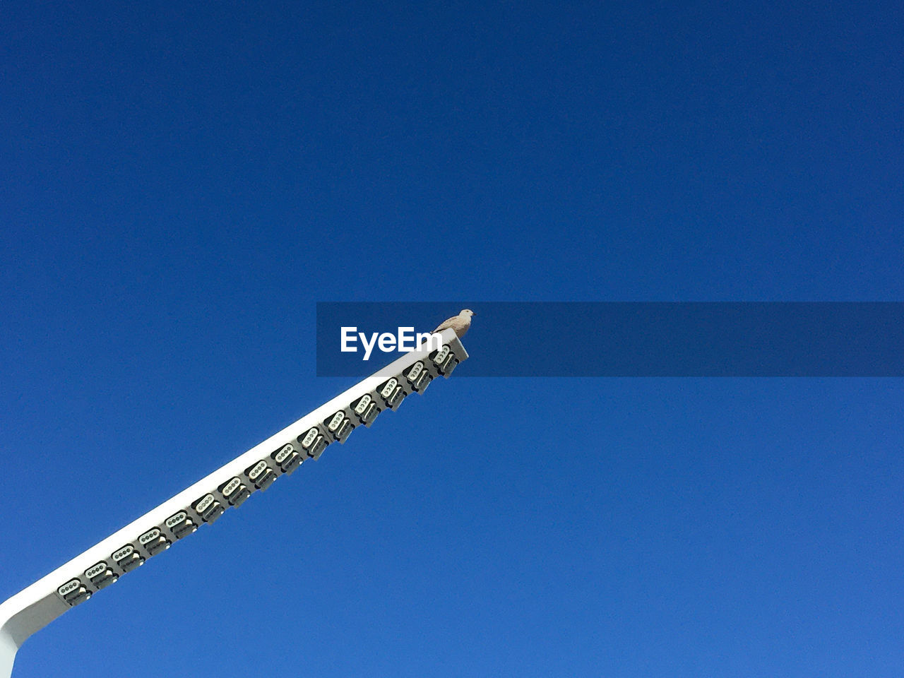 LOW ANGLE VIEW OF CRANE AGAINST BLUE SKY