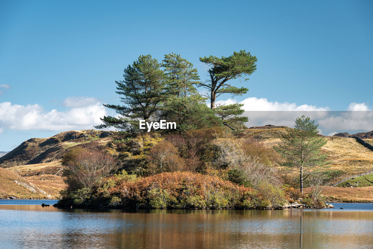 SCENIC VIEW OF LAKE BY TREE AGAINST SKY