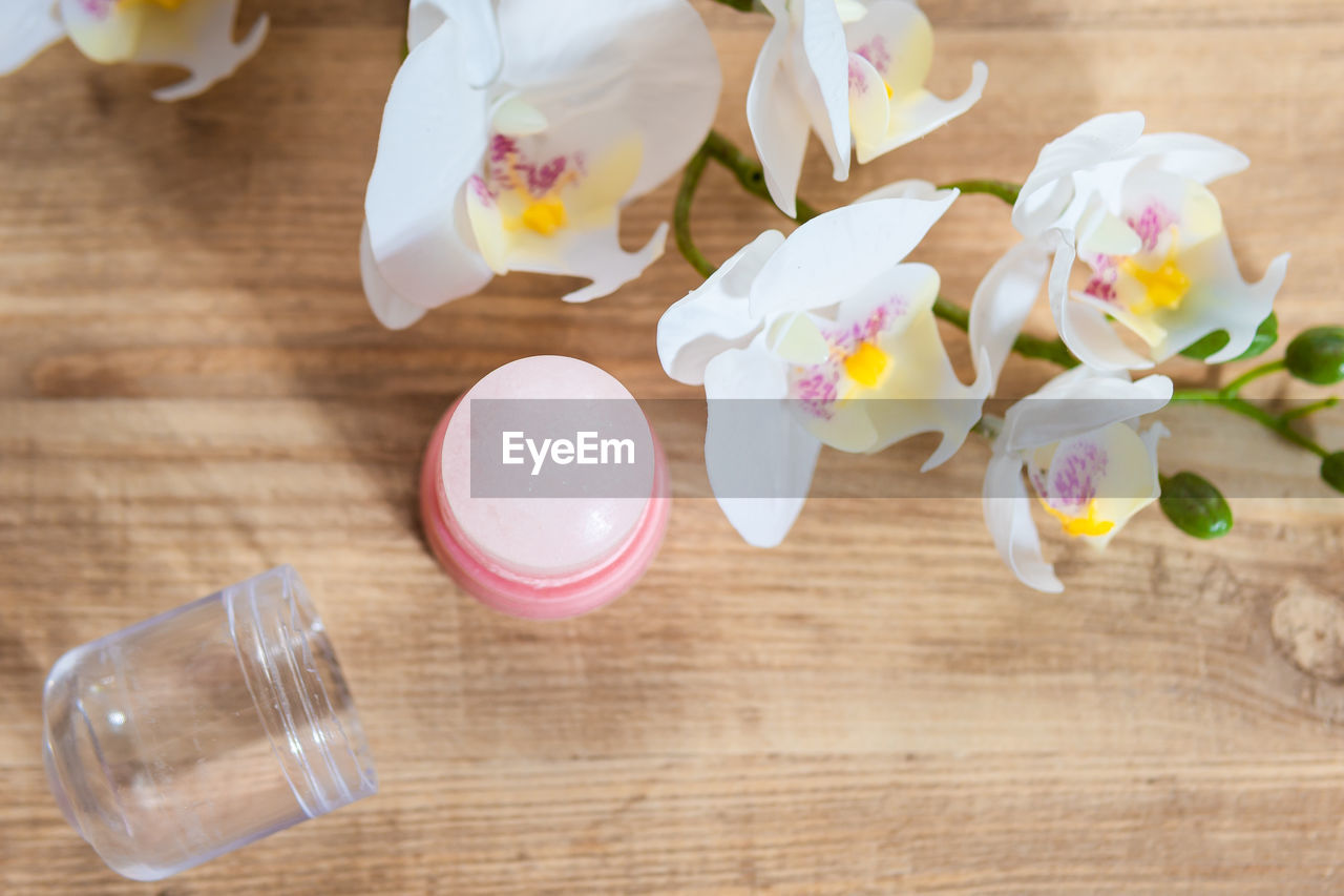 HIGH ANGLE VIEW OF FRESH WHITE FLOWERS ON TABLE