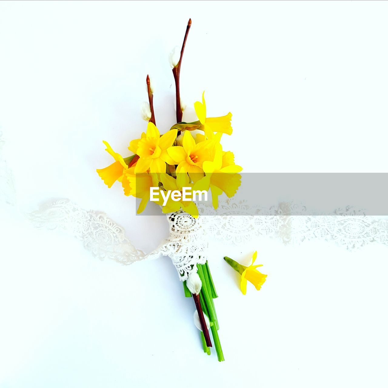 CLOSE-UP OF YELLOW FLOWERS