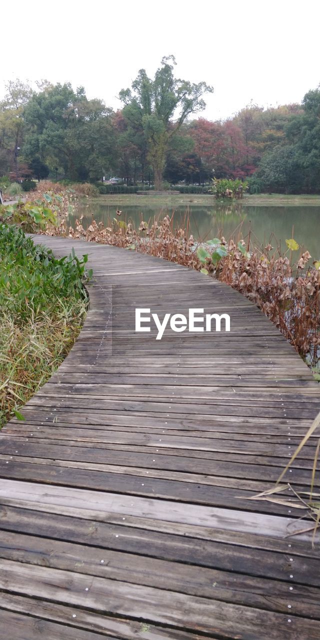 VIEW OF BOARDWALK LEADING TOWARDS TREES