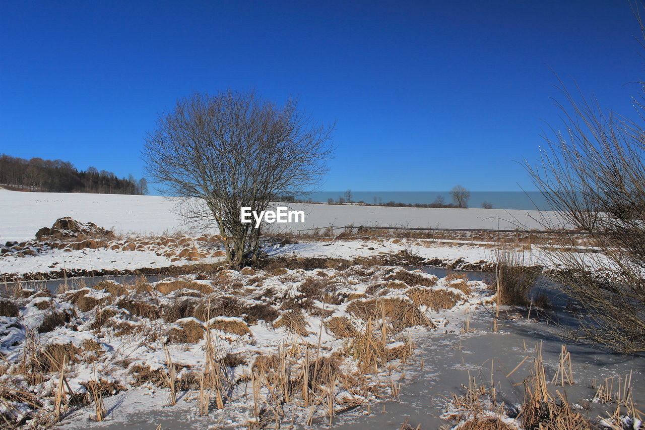 winter, snow, sky, cold temperature, tree, landscape, plant, nature, frost, environment, scenics - nature, blue, wilderness, land, clear sky, tranquility, no people, beauty in nature, tranquil scene, ice, frozen, bare tree, day, non-urban scene, mountain, water, outdoors, field, freezing, natural environment, white, rural scene