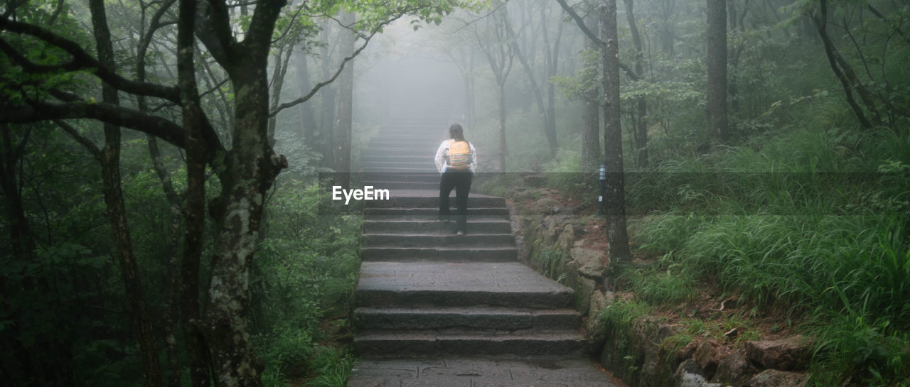 REAR VIEW OF MAN STANDING ON FOOTPATH AMIDST TREES IN FOREST