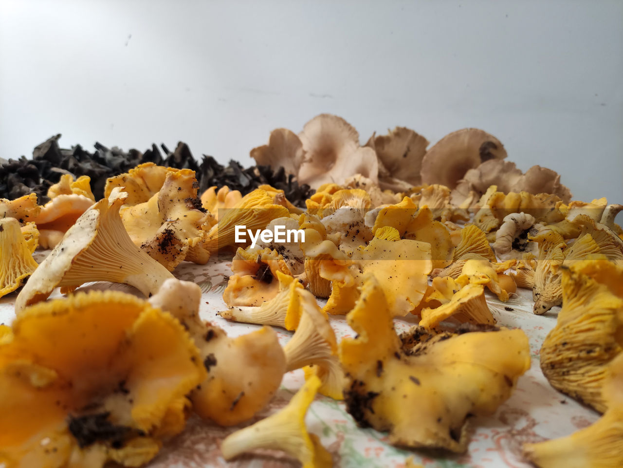 food, food and drink, mushroom, produce, dish, no people, edible mushroom, vegetable, freshness, healthy eating, yellow, nature, macro photography, wellbeing, fungus, close-up