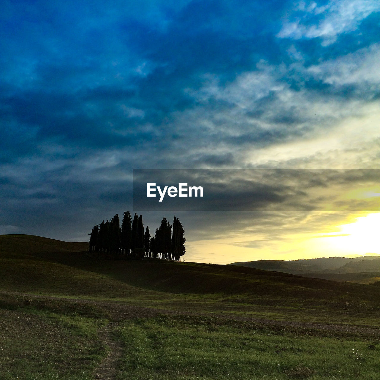 Silhouette trees on field against sky during sunset