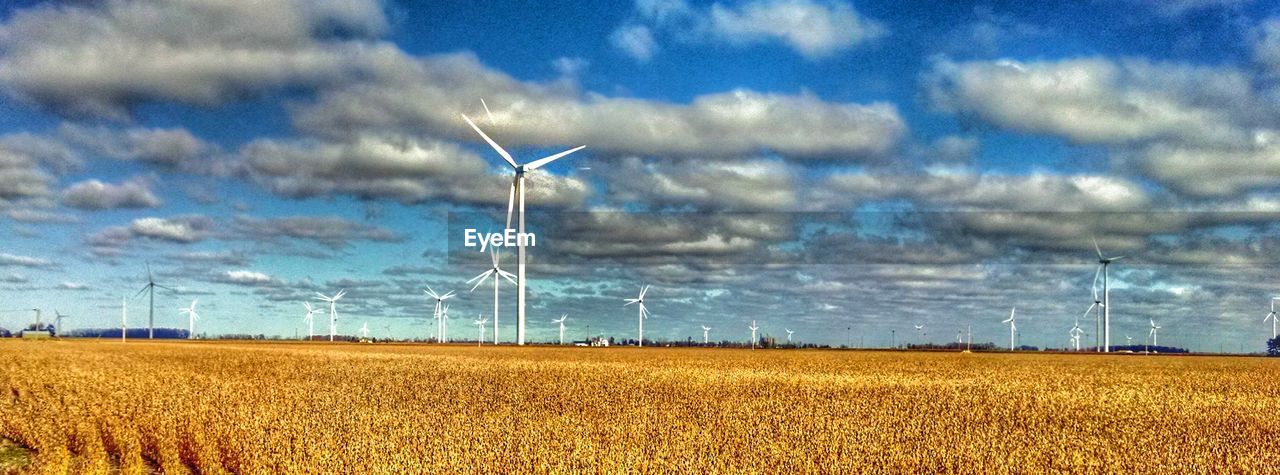 WIND TURBINES IN FIELD