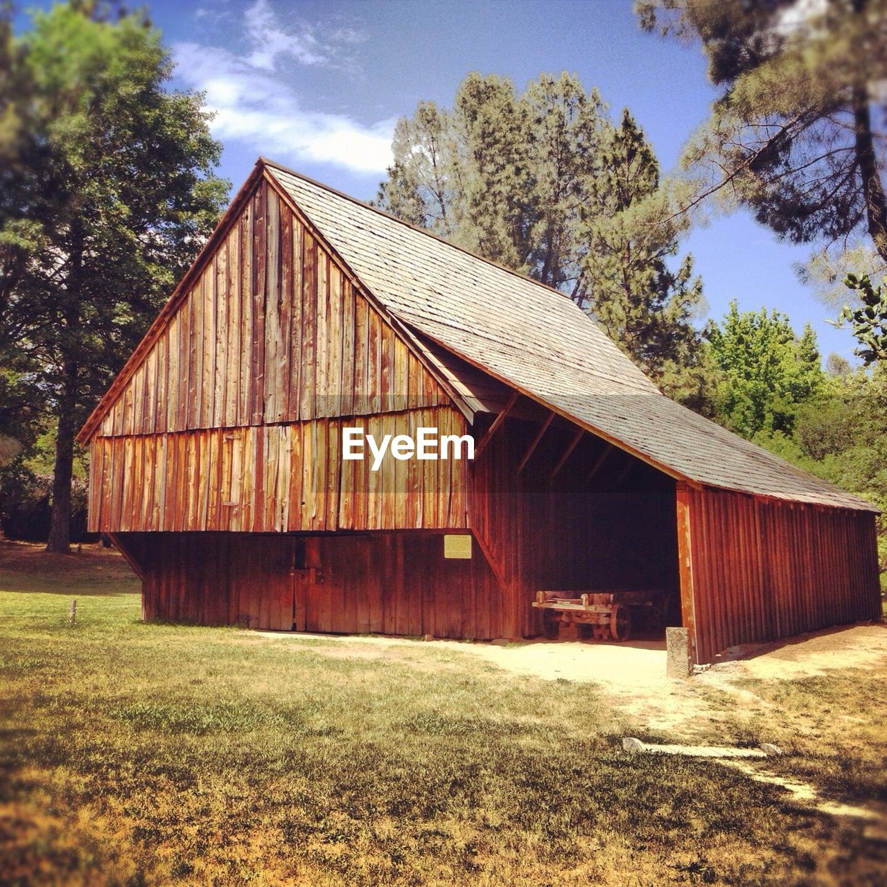 Nature scenery with trees and wood cabin