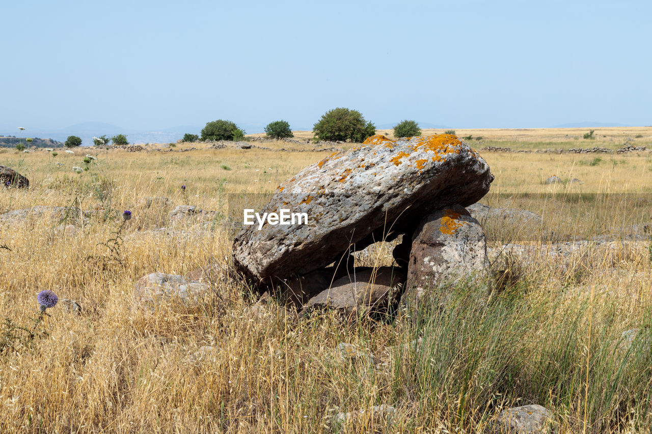 SCENIC VIEW OF LAND AGAINST SKY