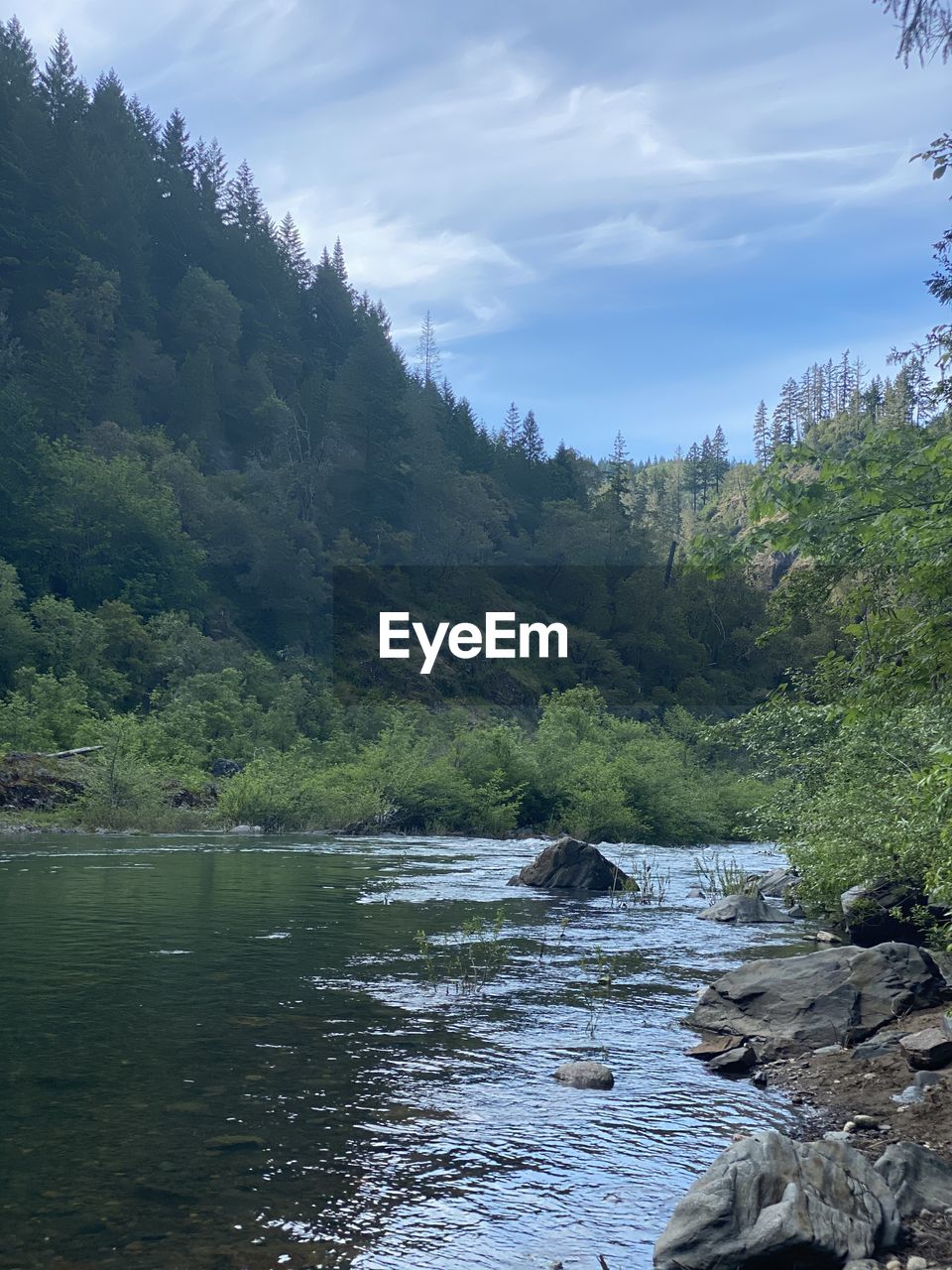 SCENIC VIEW OF RIVER AMIDST TREES IN FOREST AGAINST SKY