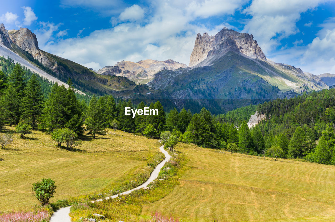 mountain, beauty in nature, sky, scenics - nature, cloud - sky, mountain range, landscape, plant, environment, tree, tranquil scene, nature, green color, tranquility, non-urban scene, day, no people, land, idyllic, growth, mountain peak