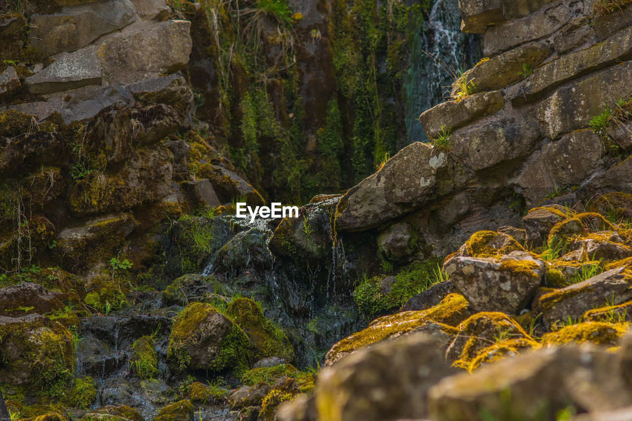 SCENIC VIEW OF ROCK FORMATION IN FOREST AGAINST SKY