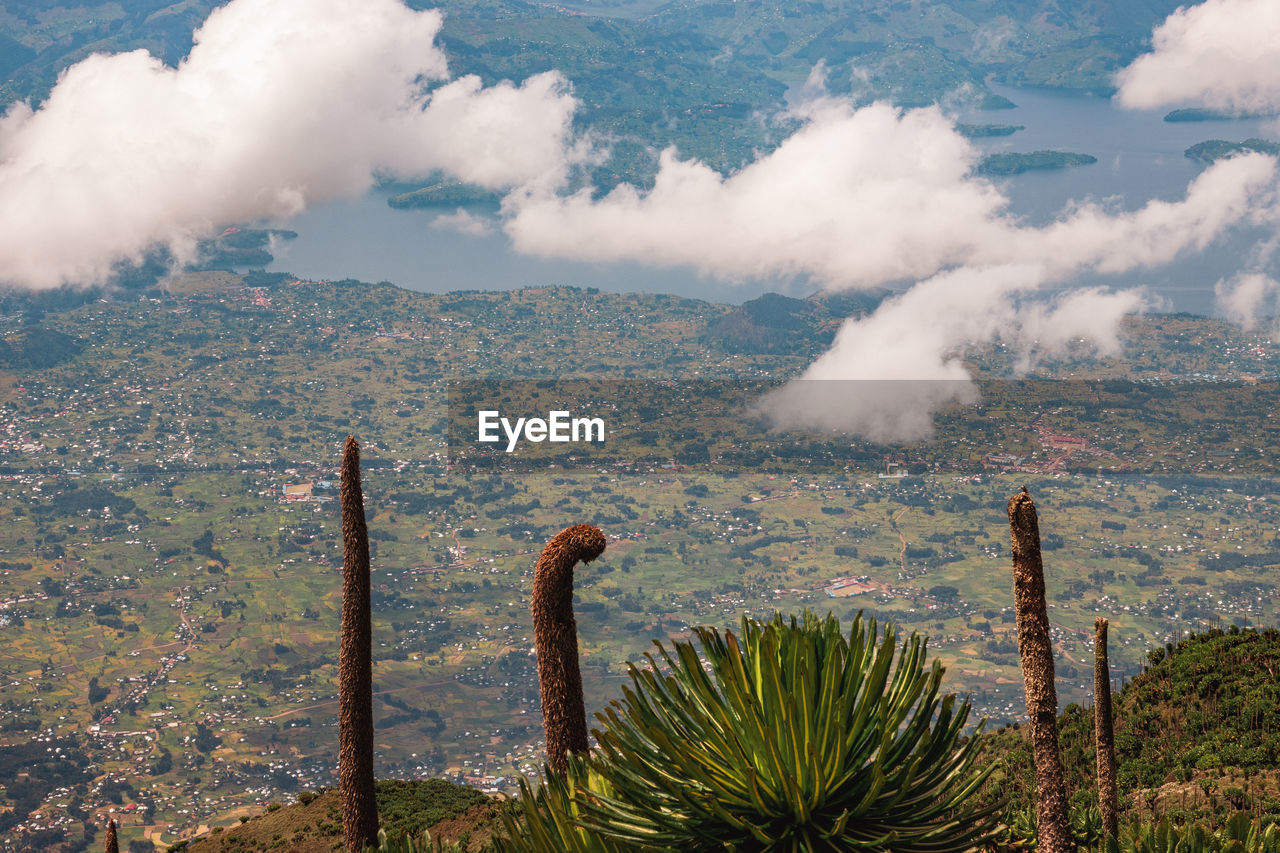 Lake burera in rwanda seen from mount muhabura in mgahinga gorilla national park, virungas, uganda