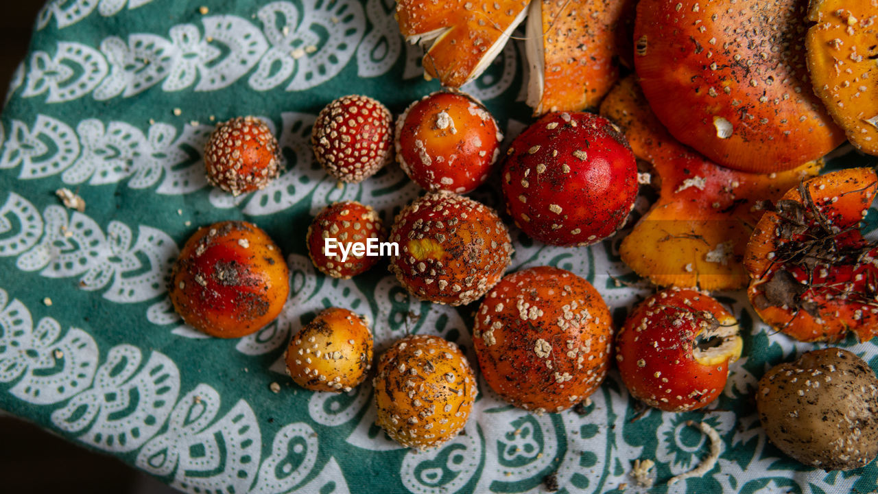HIGH ANGLE VIEW OF FRUITS ON TABLE