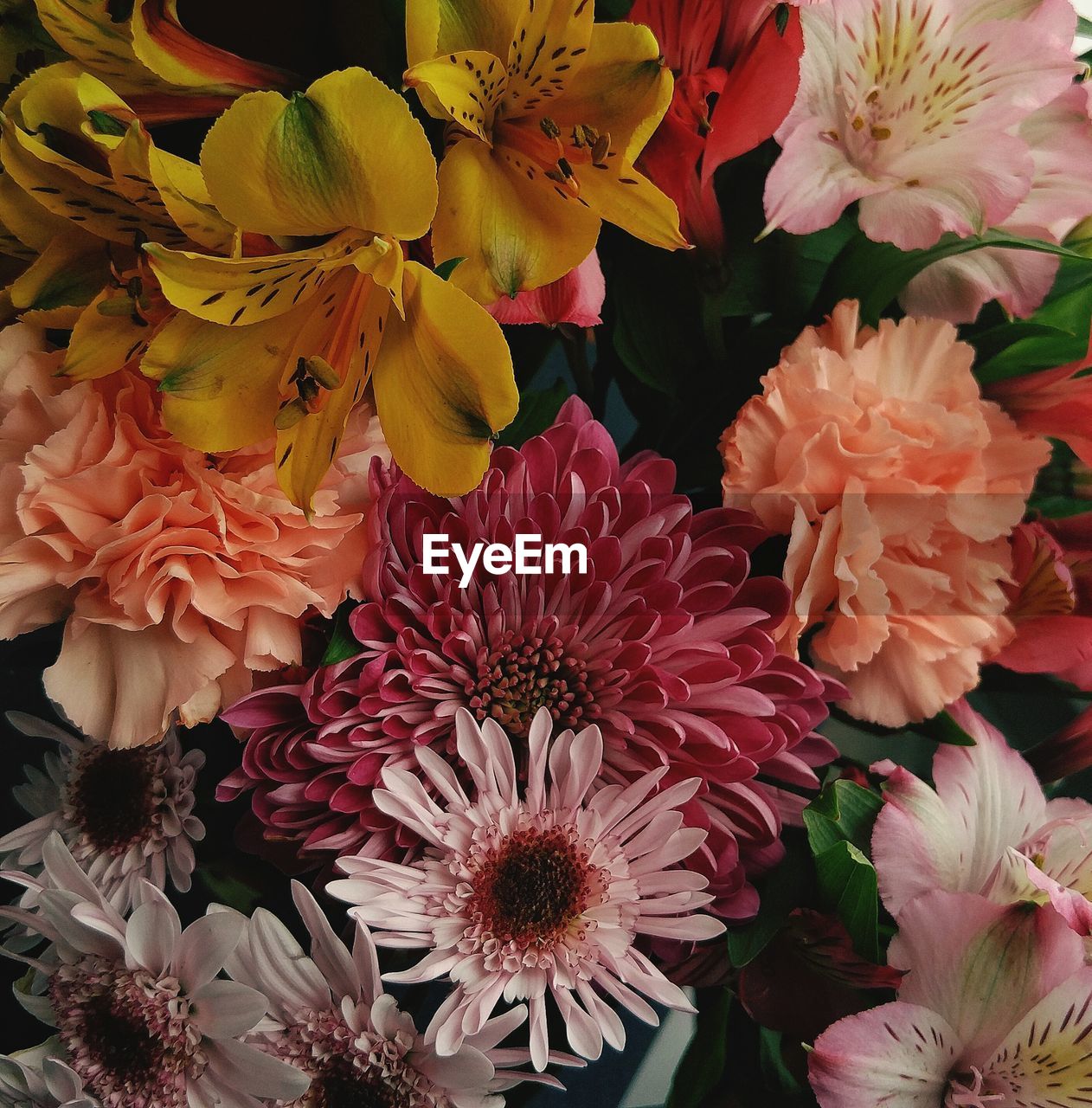 CLOSE-UP OF FLOWERS AND TREE