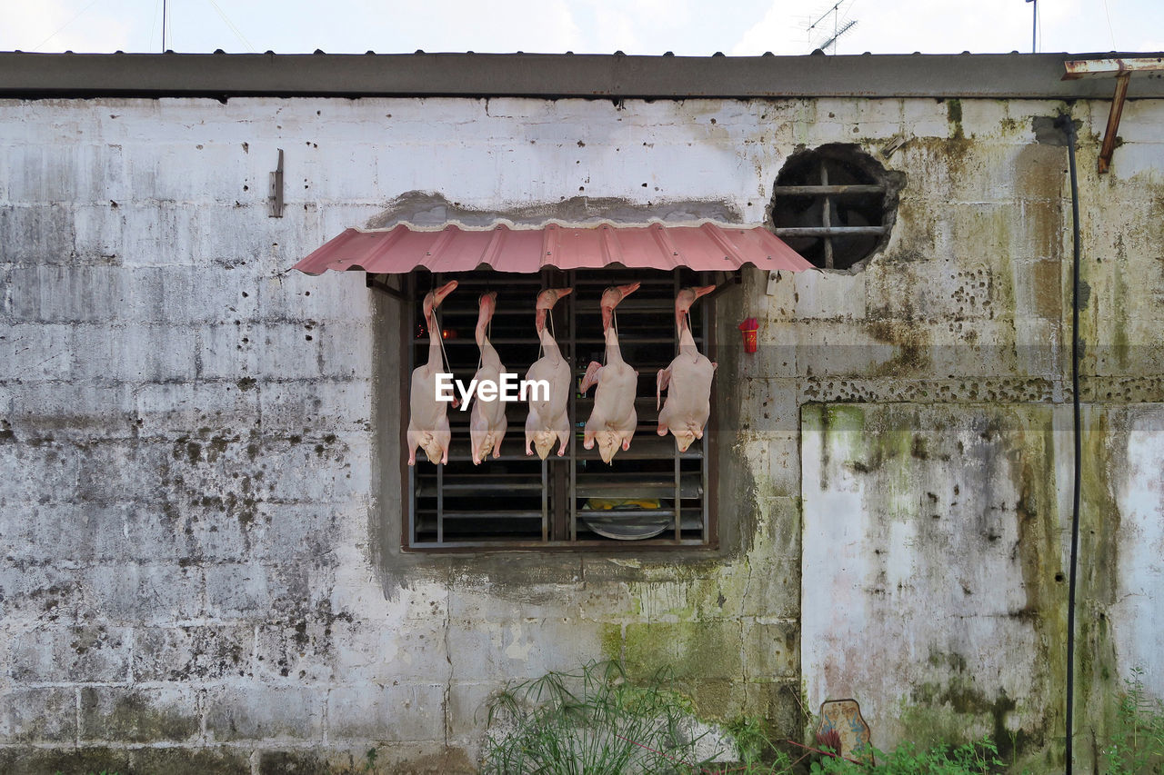 Duck meat hanging by window of old building