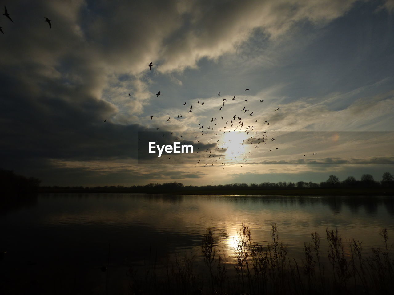 BIRDS FLYING OVER SEA AGAINST SKY