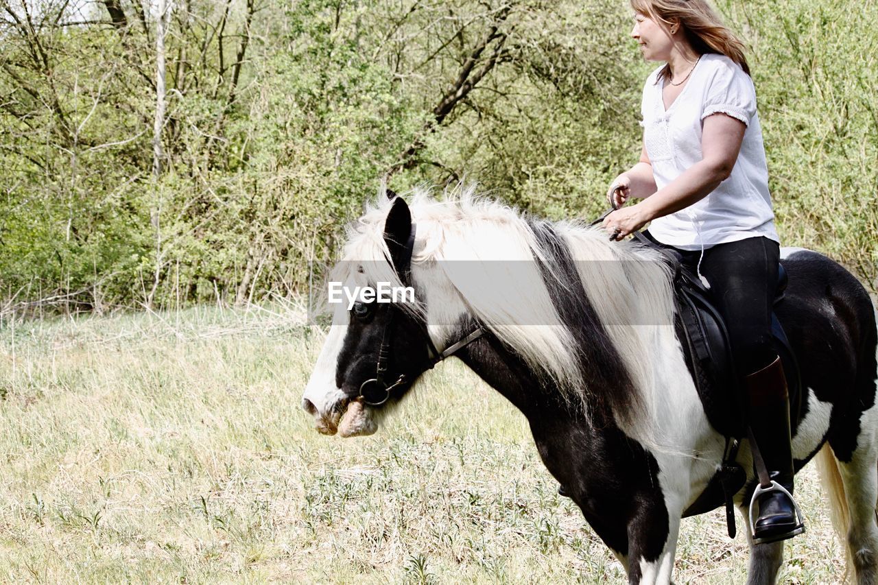 MAN RIDING HORSE ON FIELD