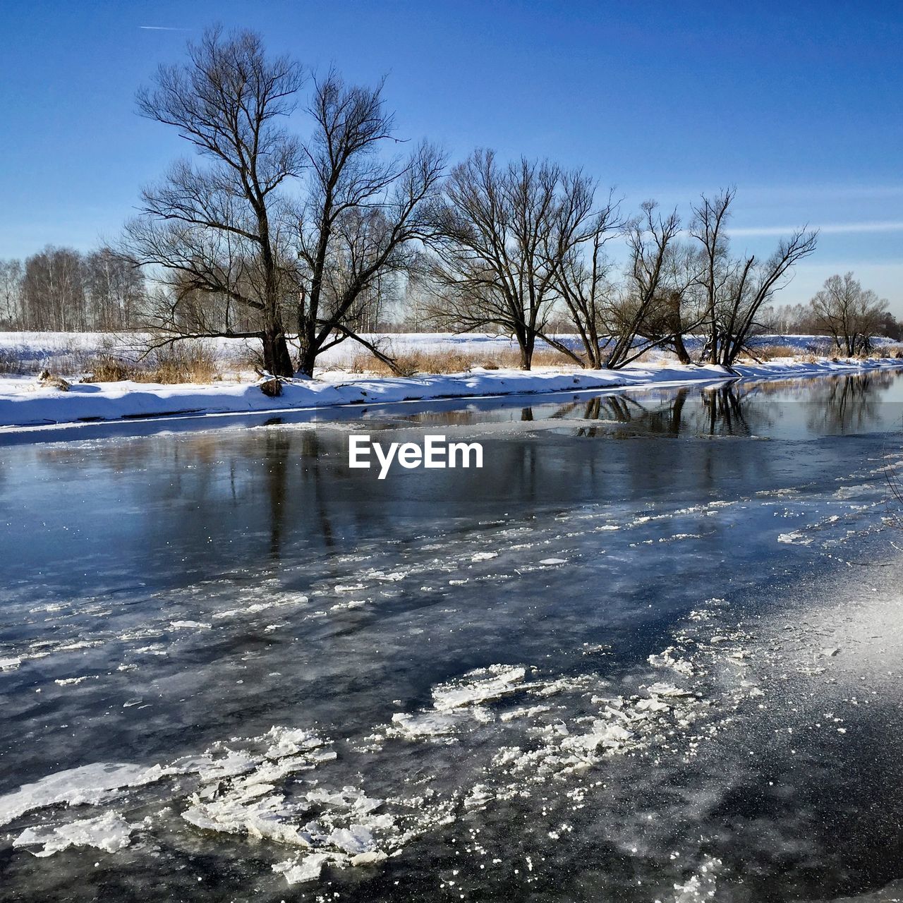 BARE TREES ON FROZEN LAKE AGAINST SKY