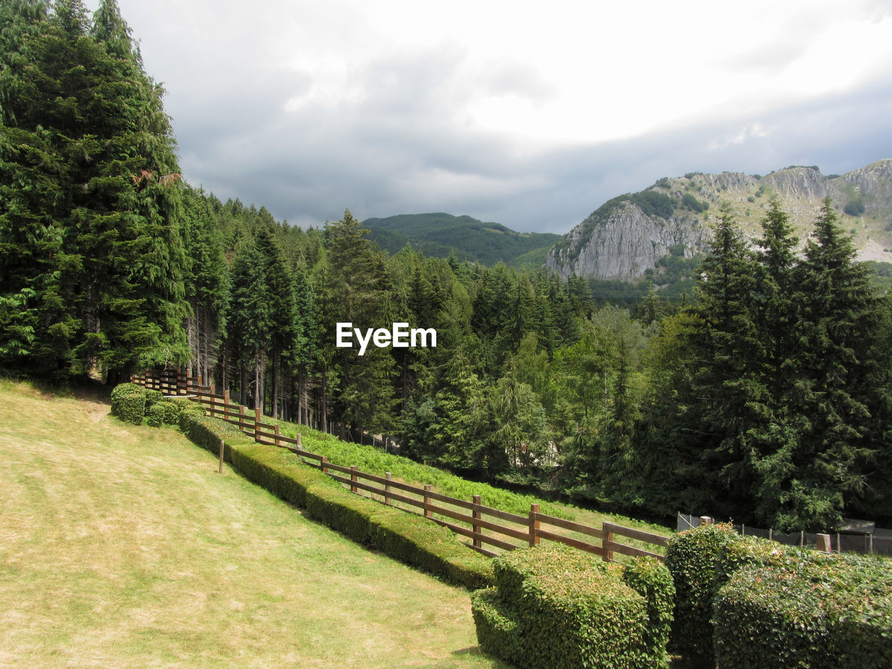 Scenic view of trees and mountains against sky