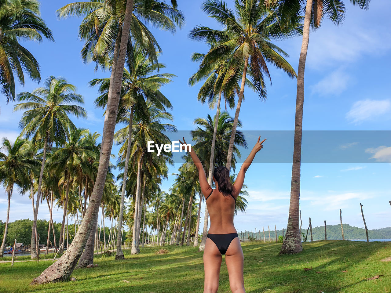 LOW ANGLE VIEW OF WOMAN STANDING ON PALM TREE