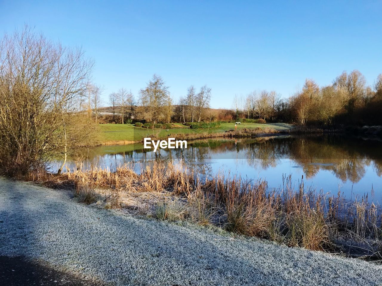 REFLECTION OF BARE TREES IN LAKE AGAINST SKY