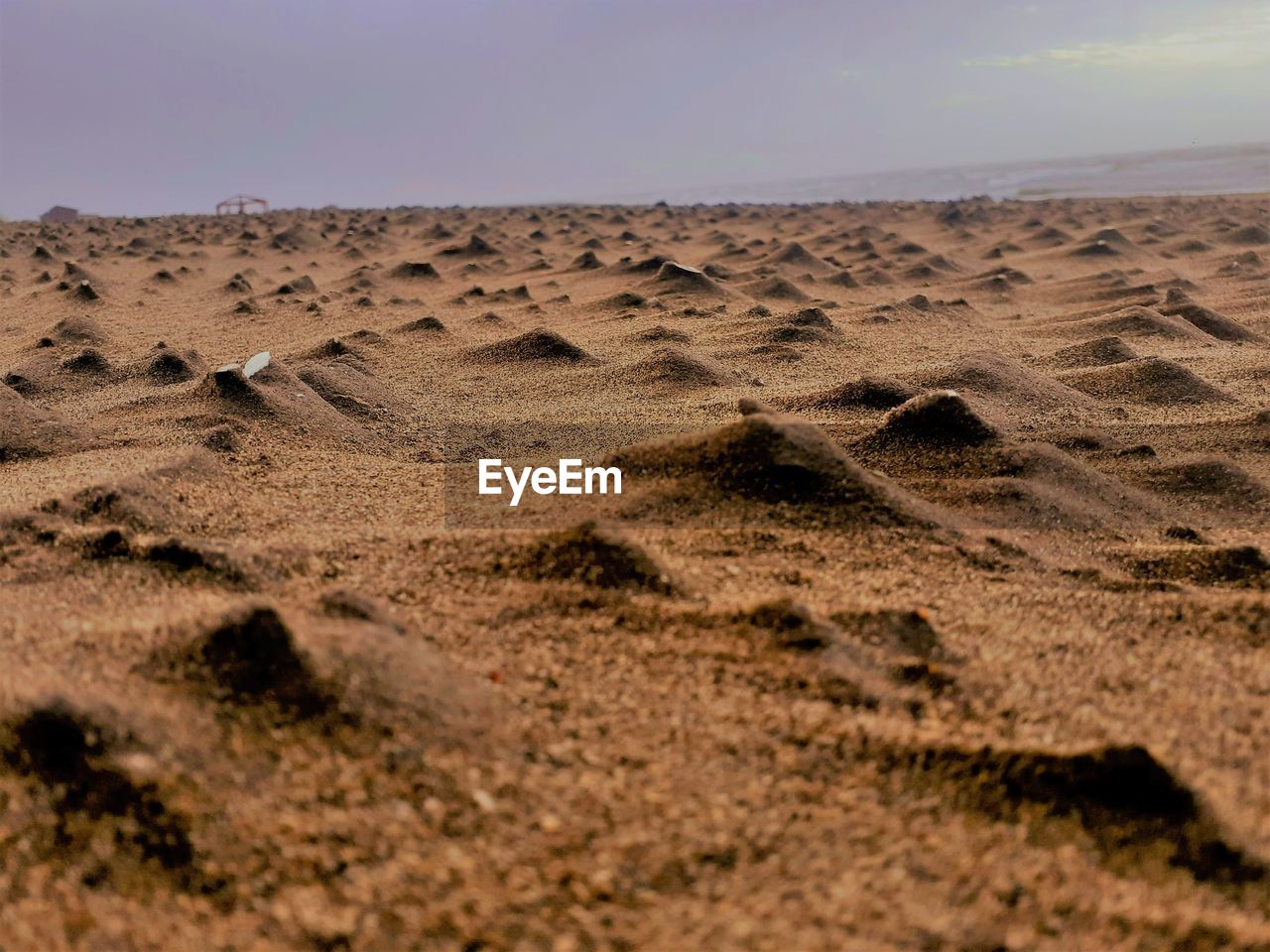 Surface level of desert against sky