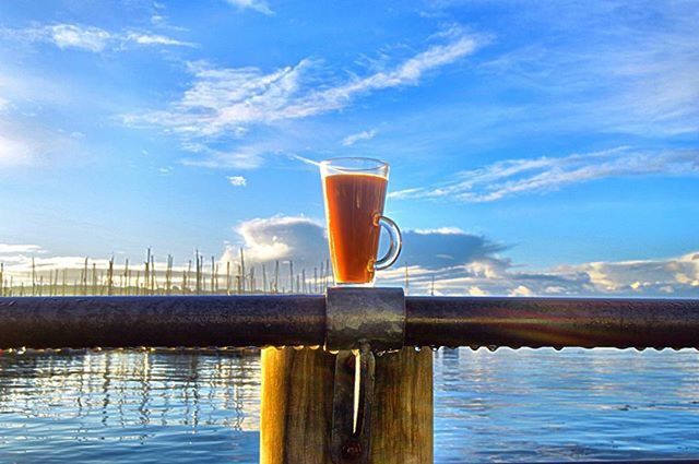 WOODEN POSTS IN THE SEA