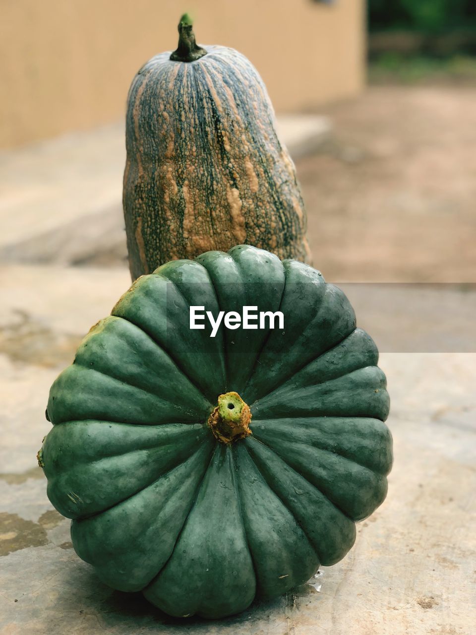 CLOSE-UP OF PUMPKIN ON WOOD