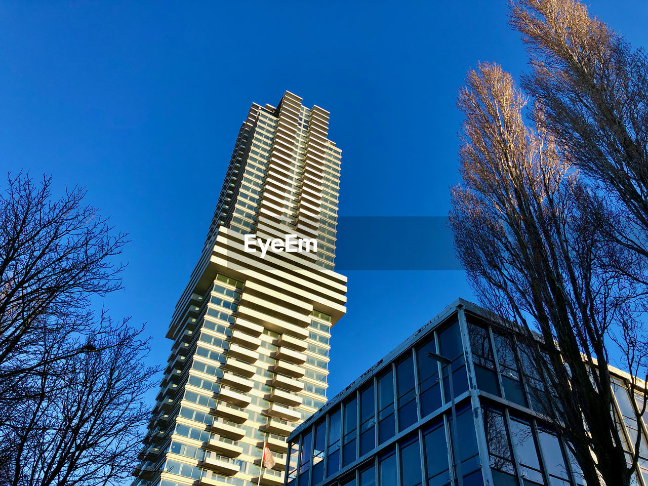 architecture, built structure, building exterior, sky, skyscraper, building, tower block, city, office building exterior, urban area, tree, low angle view, blue, office, downtown, landmark, cityscape, nature, bare tree, tower, no people, clear sky, metropolitan area, plant, business, residential district, outdoors, metropolis, facade, day, skyline, city life