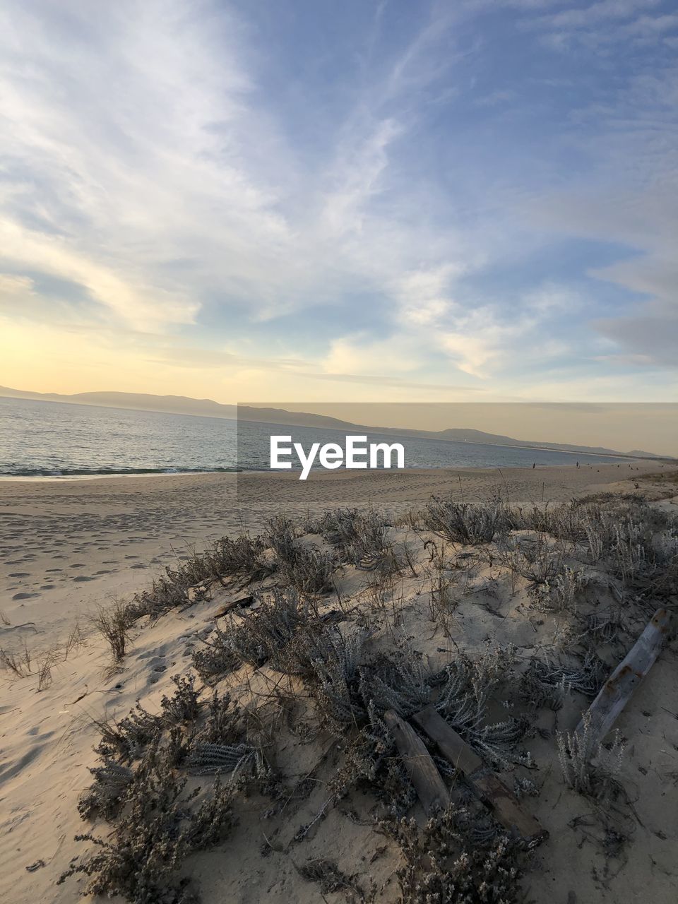 SCENIC VIEW OF BEACH DURING SUNSET