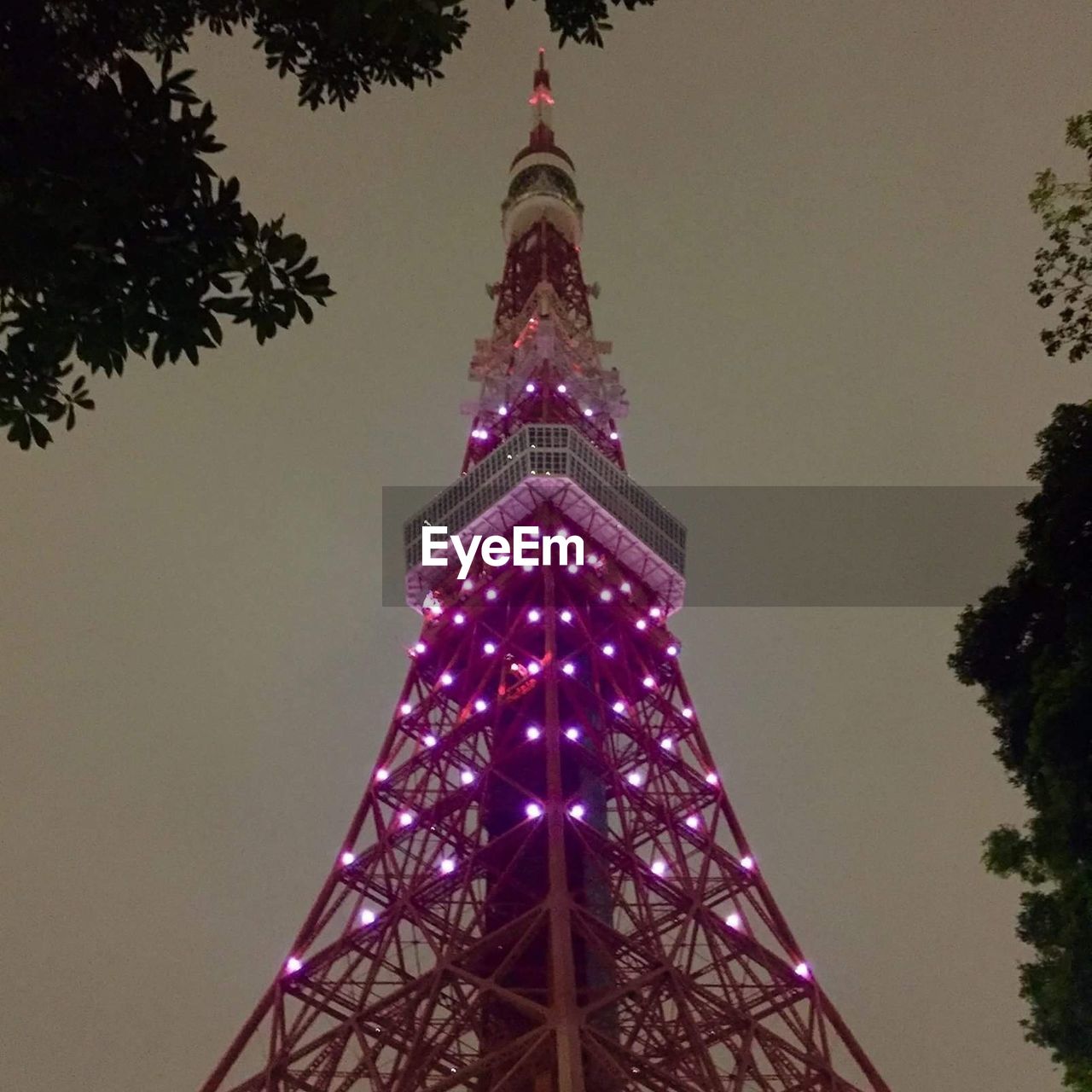 Low angle view of tokyo tower