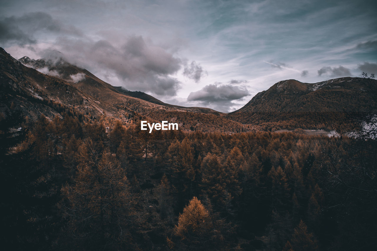 SCENIC VIEW OF MOUNTAIN AGAINST SKY