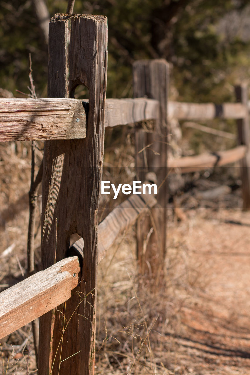 CLOSE-UP OF WOODEN POST TREE STUMP