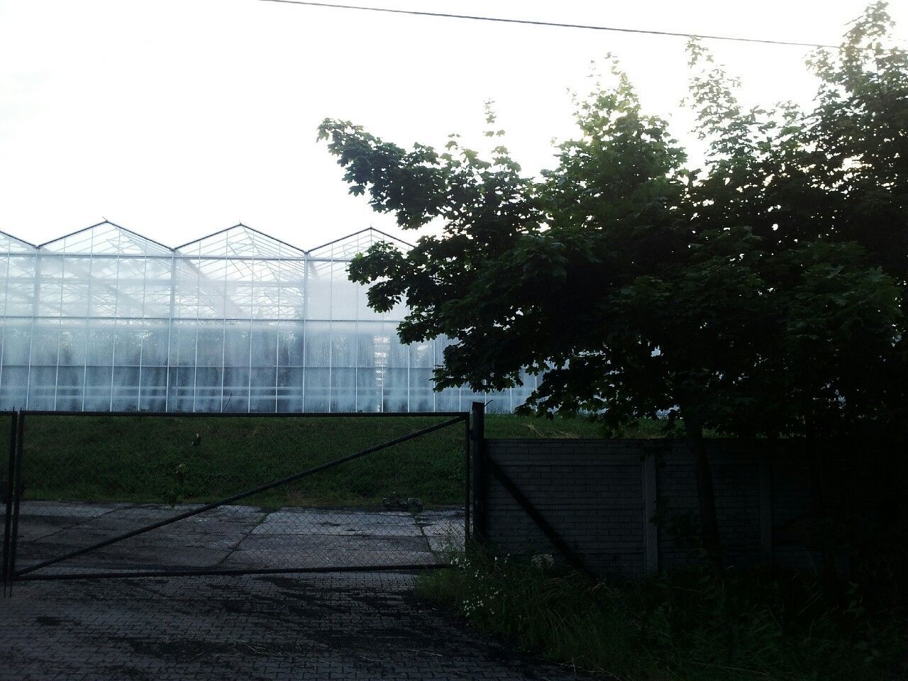 Glass structure against clear sky in distance