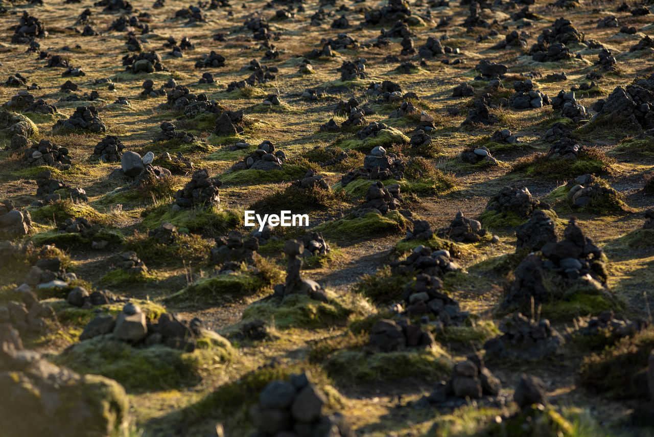 Traditional cairns made of stones on a lava ridge, laufskalavarda southern iceland