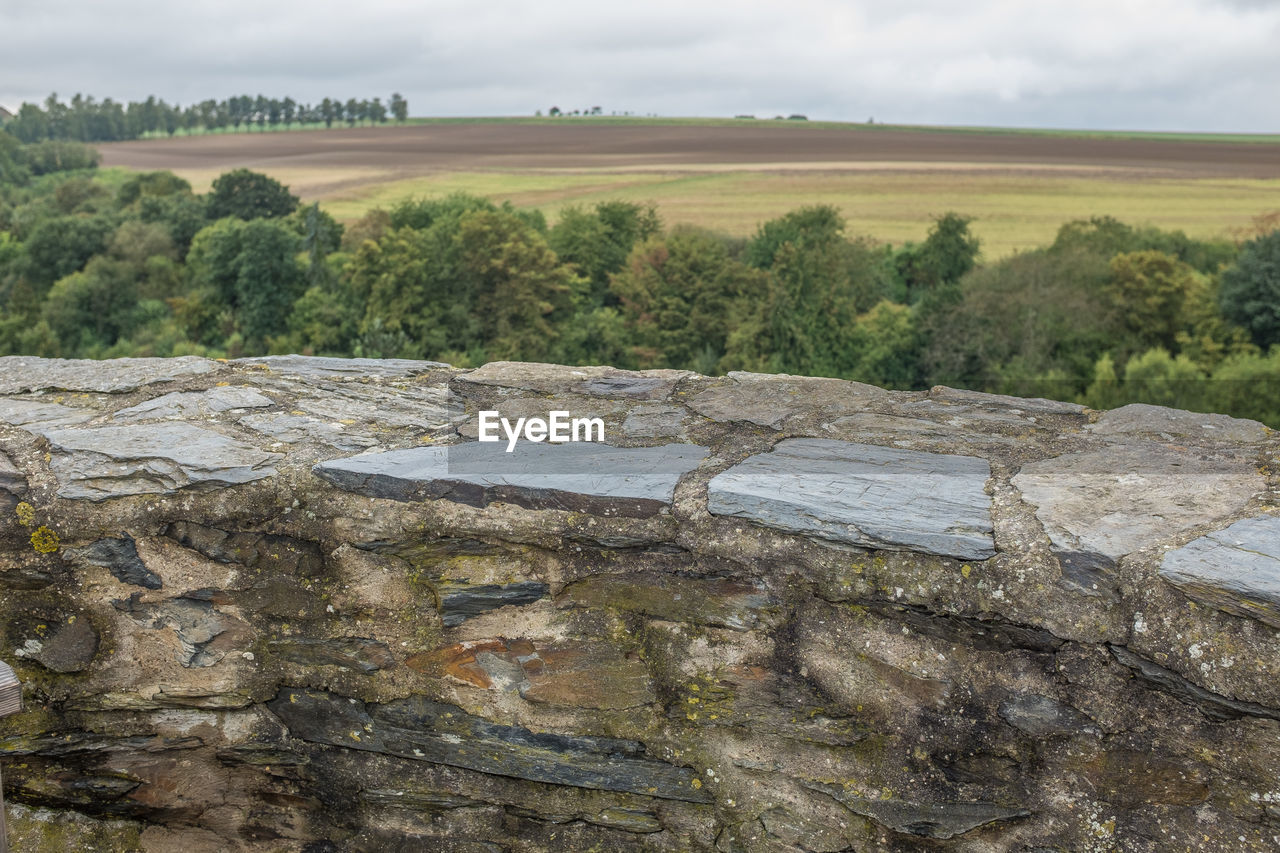 Surface level of agricultural landscape against the sky