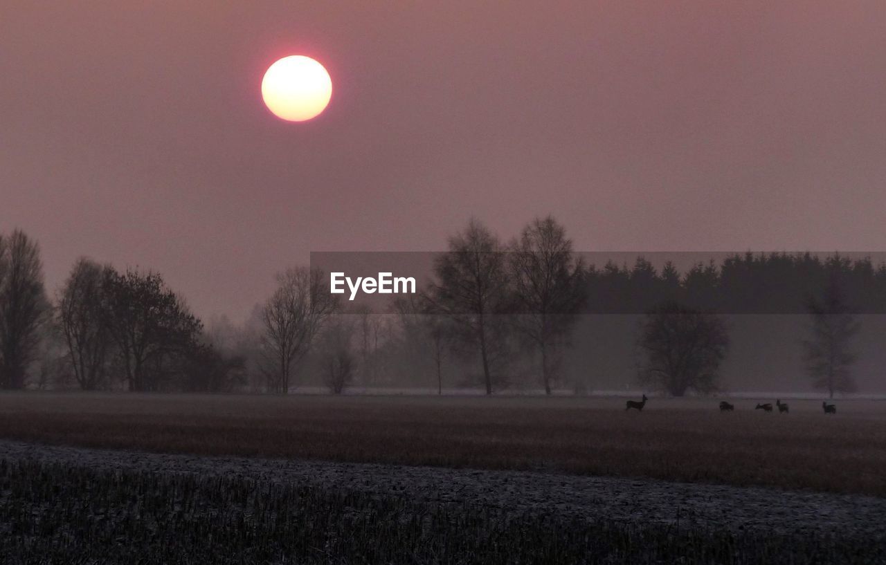 Scenic view of landscape at sunset