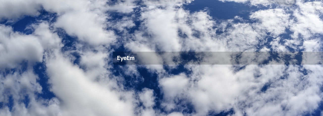 LOW ANGLE VIEW OF TREES AGAINST SKY