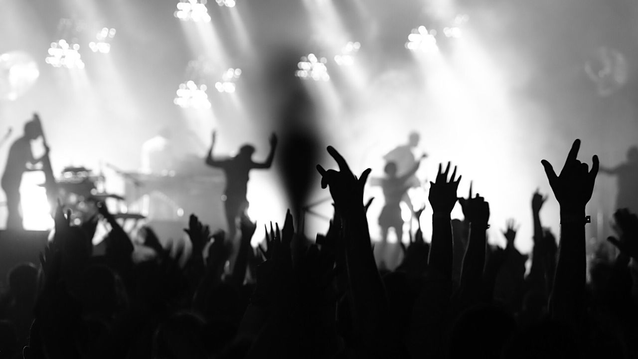Silhouette people with arms raised enjoying music concert during night