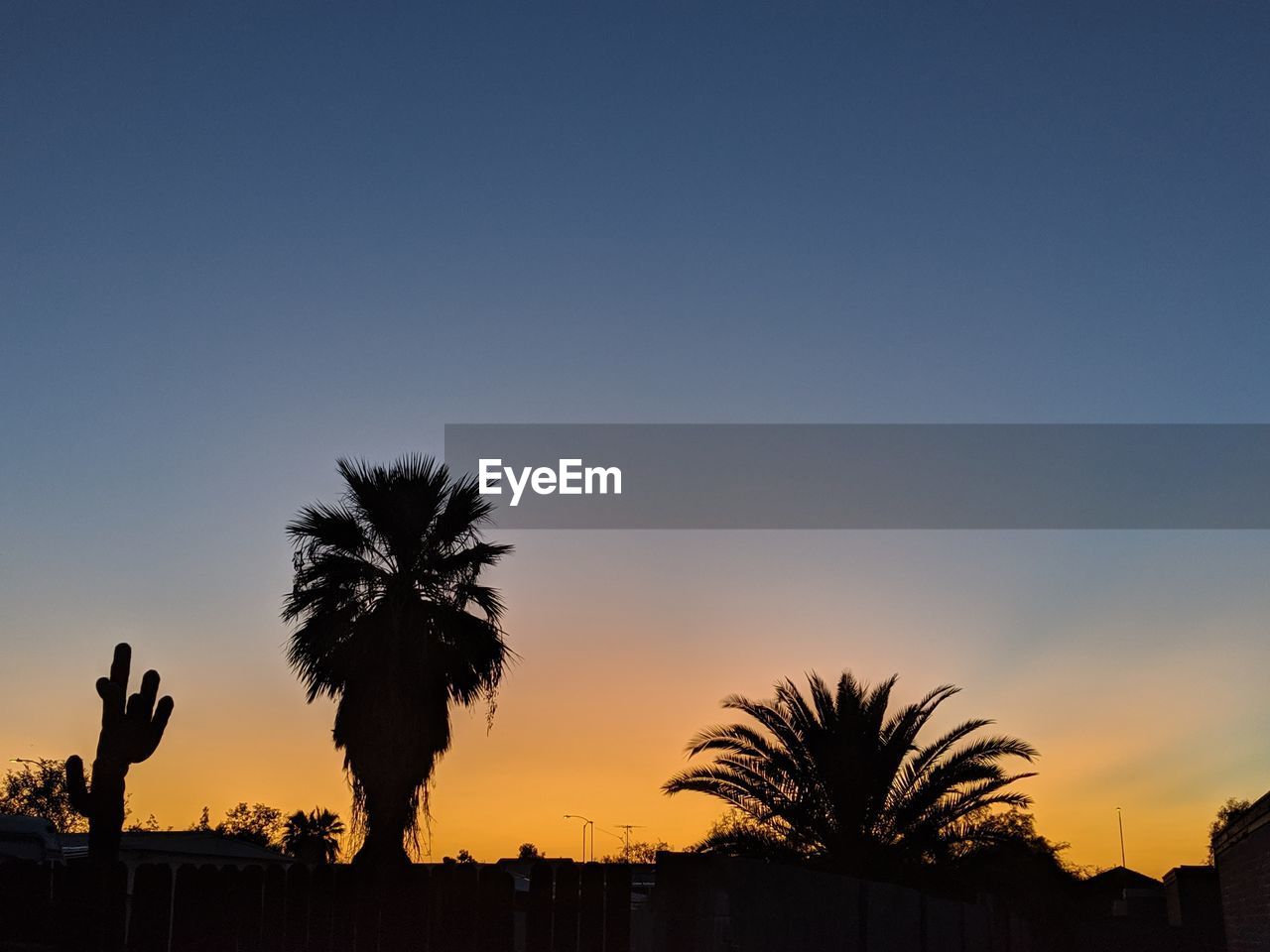 SILHOUETTE PALM TREES AGAINST SKY AT SUNSET