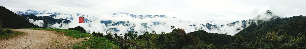 PANORAMIC VIEW OF TREES ON MOUNTAIN